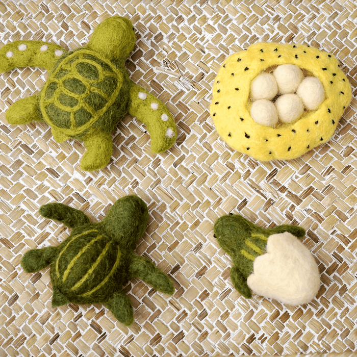 Tara Treasures Felt Life Cycle of Green Sea Turtle - My Playroom 