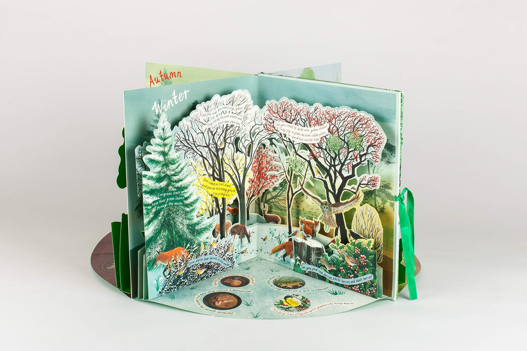 A Year in Nature: A Carousel Book of the Seasons (Hardcover) - My Playroom 