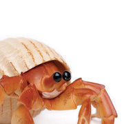 Hermit Crab Incredible Creature Figurine - My Playroom 