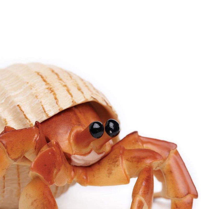 Hermit Crab Incredible Creature Figurine - My Playroom 