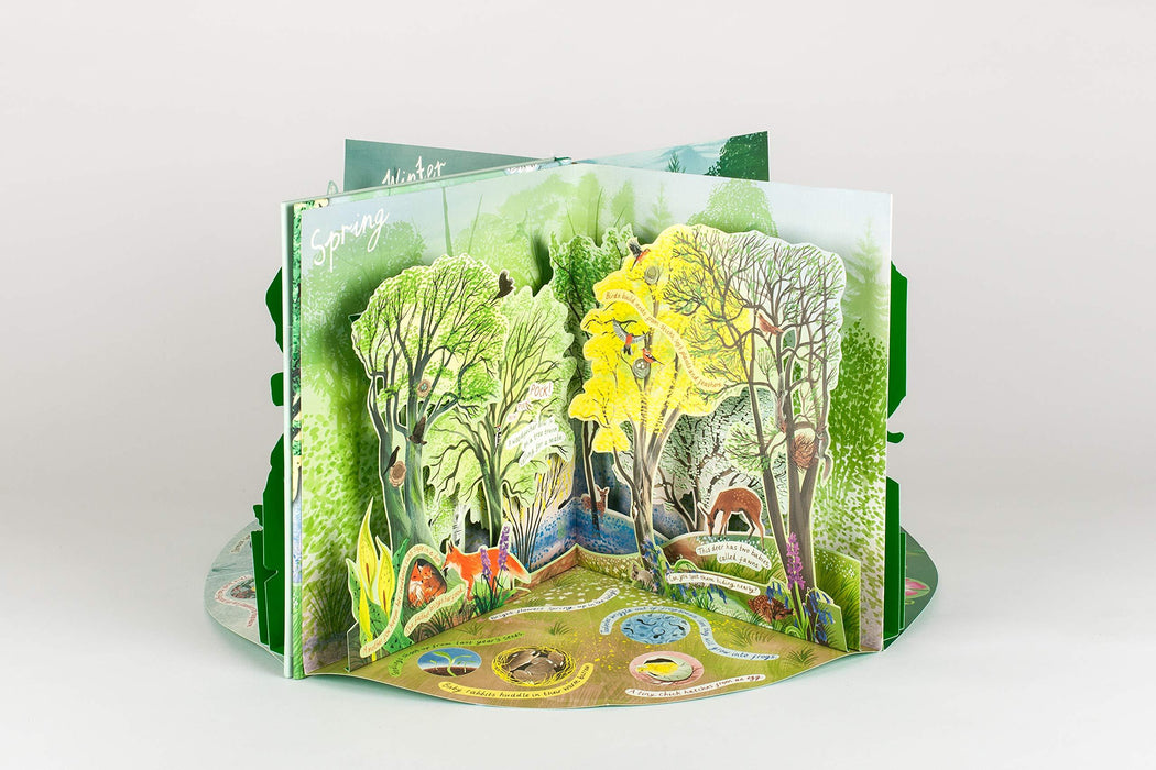 A Year in Nature: A Carousel Book of the Seasons (Hardcover) - My Playroom 