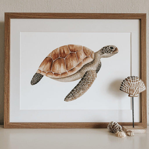 Jo Collier Turtle Terrance Print A4 - My Playroom 