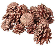 Medium-Large Pine Cones 200g - My Playroom 