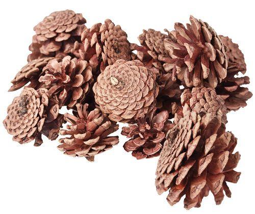 Medium-Large Pine Cones 200g - My Playroom 