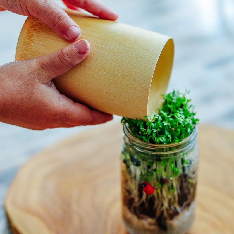 Explore Nook Bamboo Natural Cup - My Playroom 