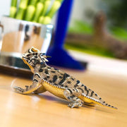 Horned Lizard Reptile Figurine - My Playroom 