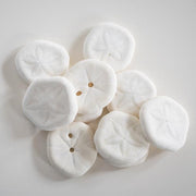 10 Sea Biscuits - My Playroom 