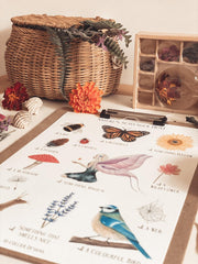 Jo Collier Nature's Scavenger Hunt Print A4 - My Playroom 