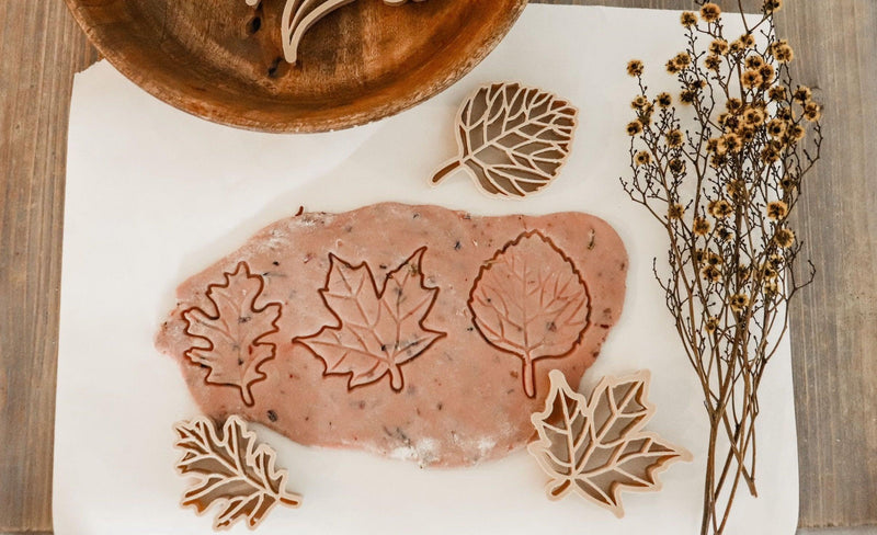 Kinfolk Pantry Leaf Eco Cutter Set - My Playroom 