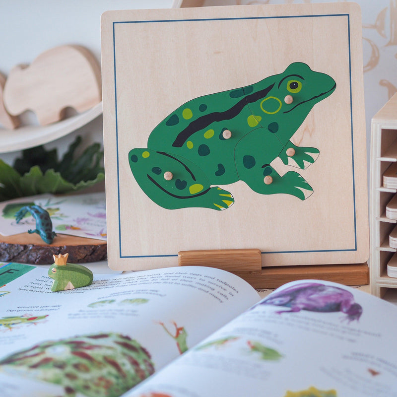 Frog Montessori Wooden Puzzle - My Playroom 