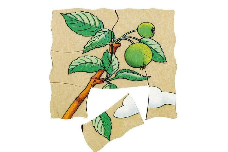 Beleduc Life Cycle Wooden Numbered Multilayer Puzzle - Apple 4yrs+ - My Playroom 