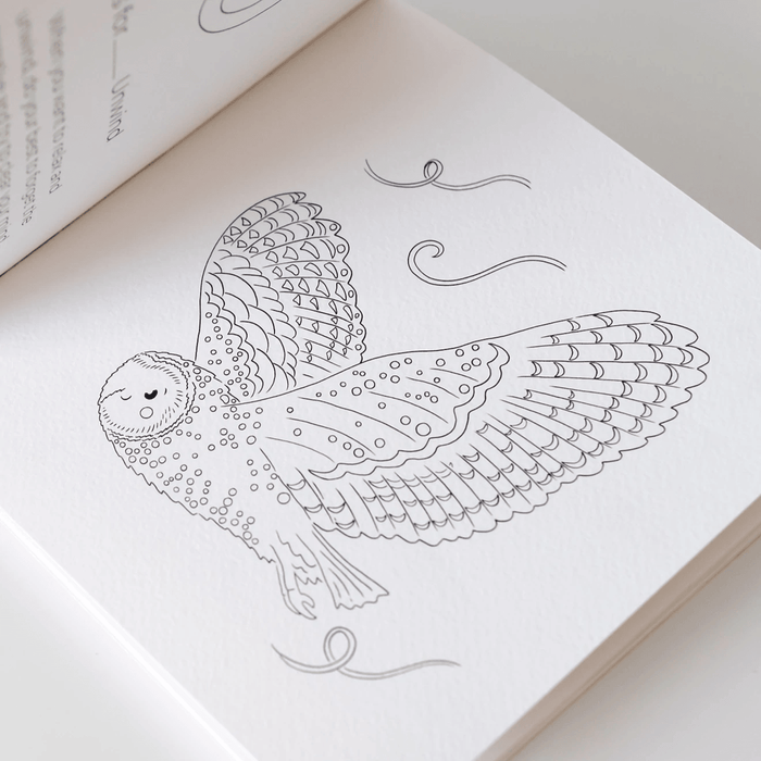 Mindful & Co ABCs of Mindfulness Poem and Colouring Book - Rose - My Playroom 