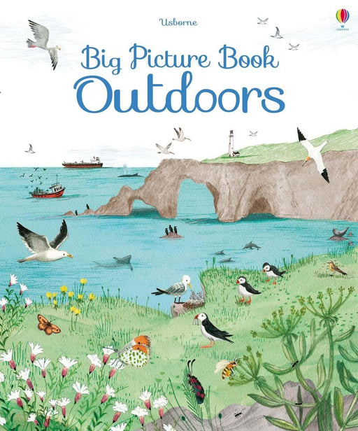Big Picture Book Outdoors (Hardcover) - My Playroom 