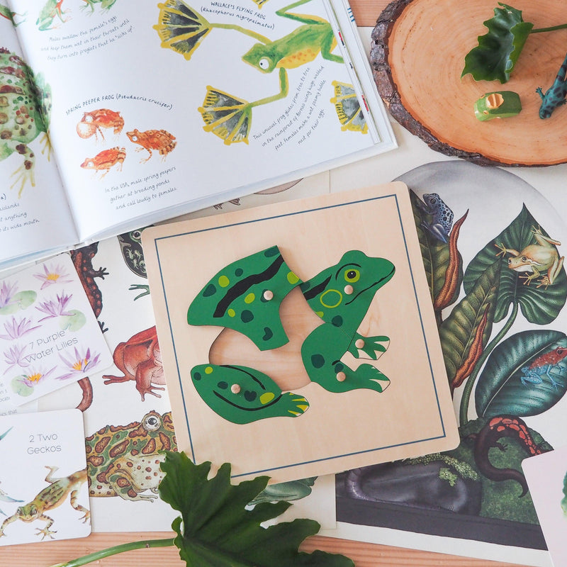 Frog Montessori Wooden Puzzle - My Playroom 