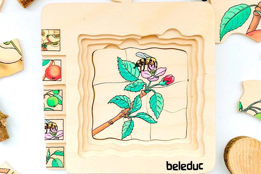 Beleduc Life Cycle Wooden Numbered Puzzle - Apple 4yrs+ - My Playroom 