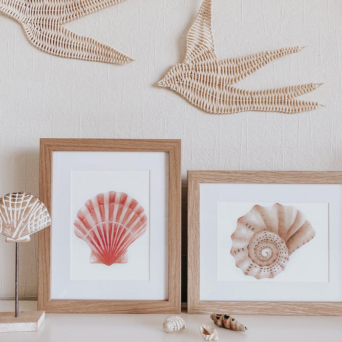 Jo Collier Whelk Shell Print A5 - My Playroom 
