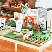 Tara Treasures Large Felt Farm Play Mat Playscape 80cm - My Playroom 