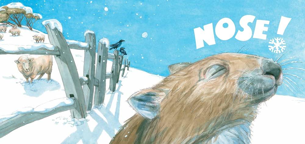 The Snow Wombat (Board Book) - My Playroom 