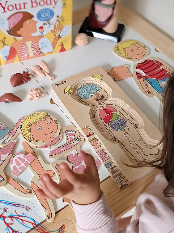 Beleduc 5 Layer Human Anatomy Puzzle Girl 4yrs+ - My Playroom 