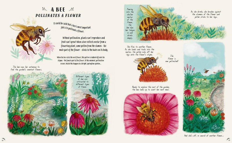 Slow Down (Hardcover) - My Playroom 