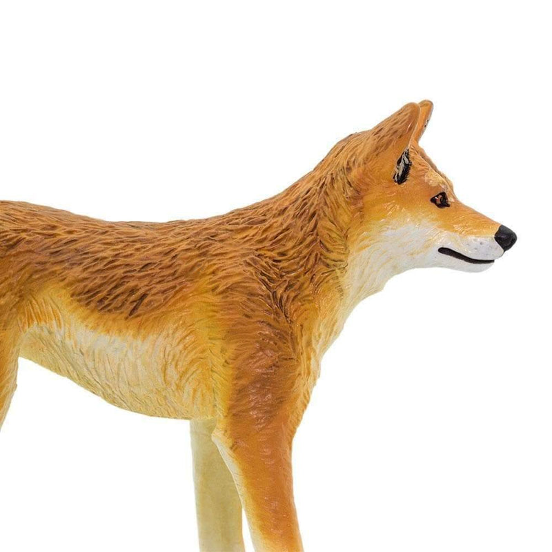 Dingo Australian Figurine - My Playroom 