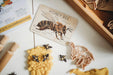 Kinfolk Pantry Teddy Bear Bee & Honey Comb Eco Cutter Set - My Playroom 