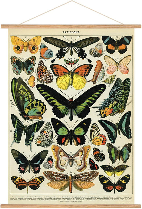 Playroom Poster - Butterflies - My Playroom 