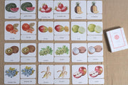 Fruits 3-Part Cards English - My Playroom 