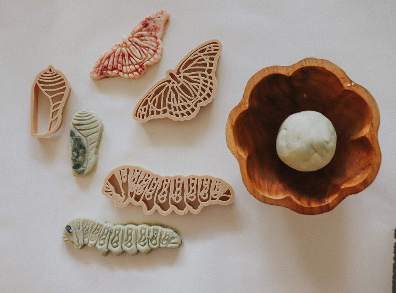 Kinfolk Pantry Monarch Butterfly Lifecycle Eco Cutter Set - My Playroom 