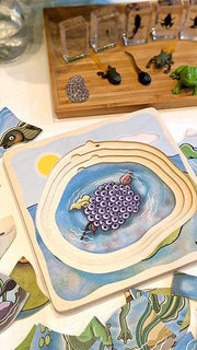 Life Cycle of a Frog Wooden Numbered Puzzle 4 Layers 4yrs+ By Beleduc - My Playroom 