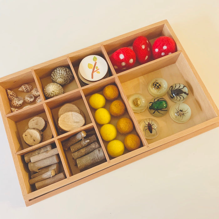 Montessori Sorting Tray With Lid - My Playroom 