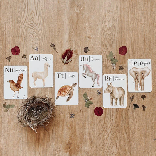 Jo Collier "Nature's ABC" Flashcards - My Playroom 