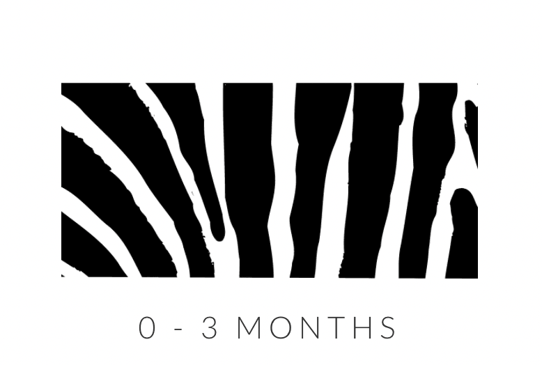 Wee Gallery Art Cards Sea Collection - My Playroom 