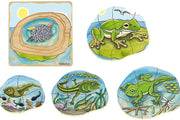 Life Cycle of a Frog Wooden Numbered Puzzle 4 Layers 4yrs+ By Beleduc - My Playroom 
