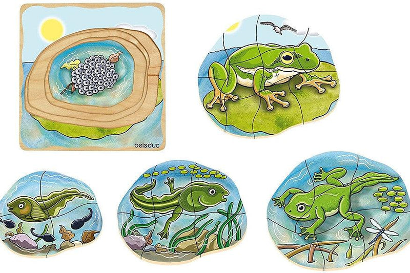 Life Cycle of a Frog Wooden Numbered Puzzle 4 Layers 4yrs+ By Beleduc - My Playroom 