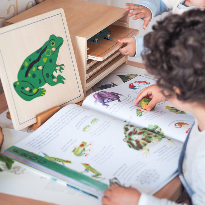 Frog Montessori Wooden Puzzle - My Playroom 