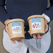 Grimm’s Building Rings Rainbow 3yrs+ - My Playroom 