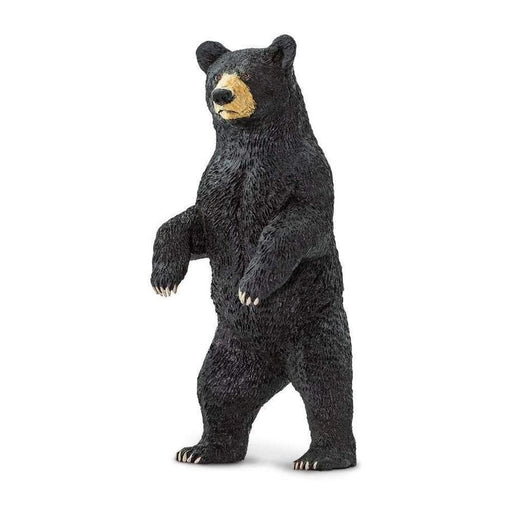 Standing Black Bear Woodland Collection - My Playroom 