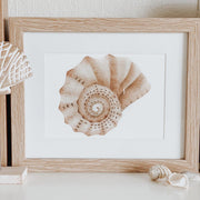 Jo Collier Whelk Shell Print A5 - My Playroom 