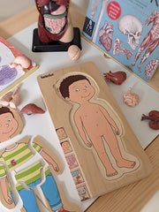 Beleduc 5 Layer Human Anatomy Puzzle Boy 4yrs+ - My Playroom 