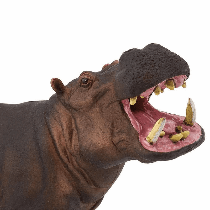 Hippopotamus Figurine Extra Large Safari Collection - My Playroom 