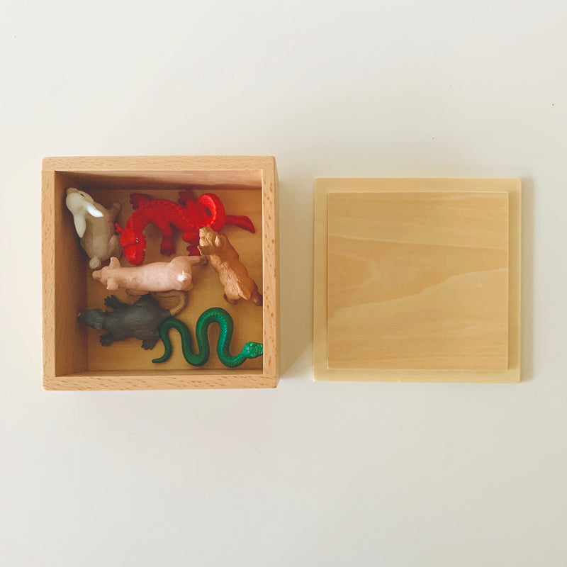 Language figure Storage Box with Lid - My Playroom 