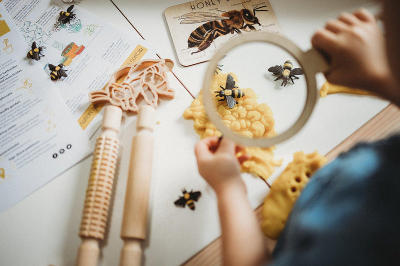 Kinfolk Pantry Teddy Bear Bee & Honey Comb Eco Cutter Set - My Playroom 