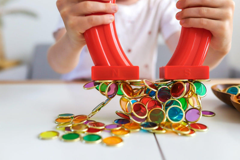 Learn & Grow Toys Magnetic Counting Chips Packet of 100 3yrs+ - My Playroom 