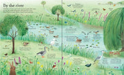 Big Picture Book Outdoors (Hardcover) - My Playroom 