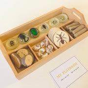 Montessori Wooden Sorting Tray - My Playroom 