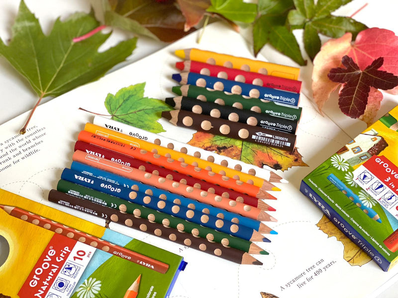 Lyra Groove Coloured Pencils - 10 pencils - My Playroom 