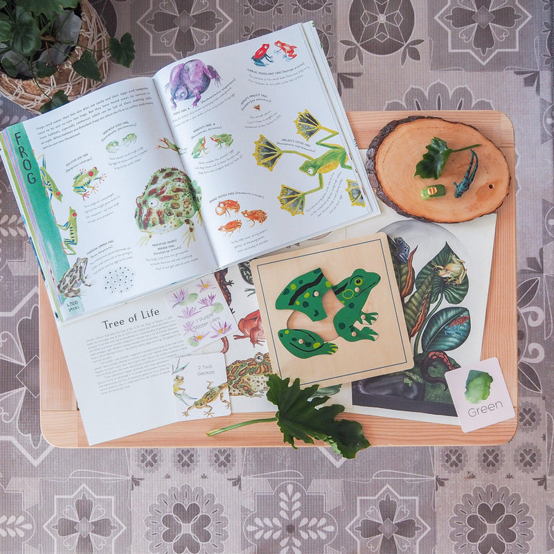 Frog Montessori Wooden Puzzle - My Playroom 
