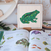 Frog Montessori Wooden Puzzle - My Playroom 