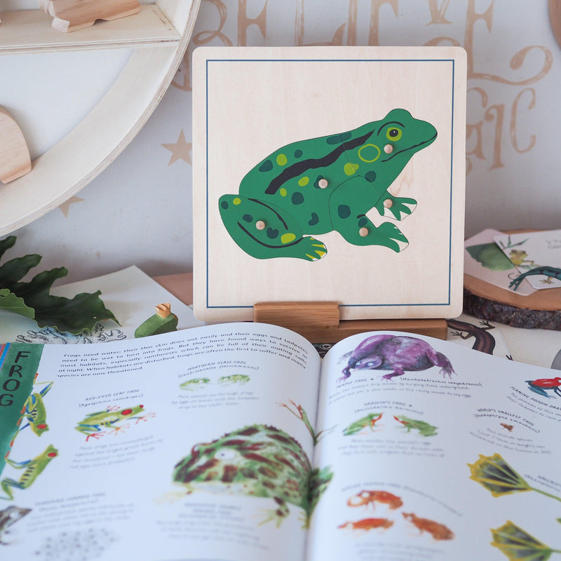Frog Montessori Wooden Puzzle - My Playroom 
